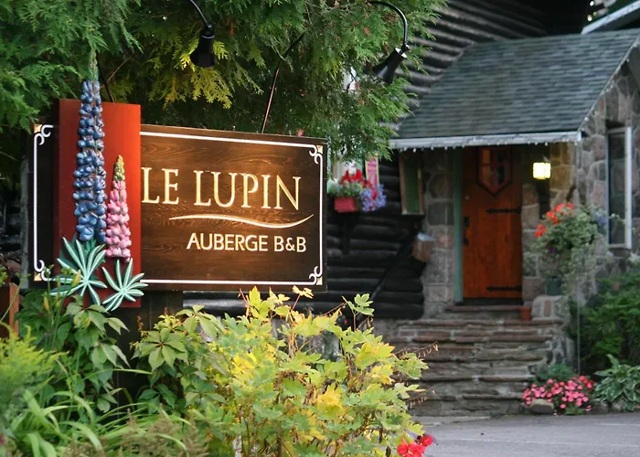 Auberge Le Lupin-Self Check-In